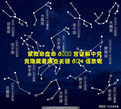 紫微命盘命 🐘 宫详解中究竟隐藏着哪些关键 🦢 信息呢